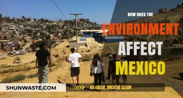 Mexico's Environmental Challenges: Impacts, Consequences, and Sustainable Solutions