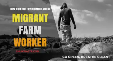 Environmental Impacts on Migrant Farm Workers: Challenges and Resilience