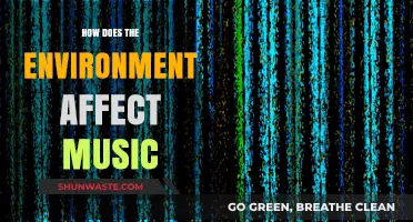 Nature's Influence: How Environments Shape Music Creation and Expression