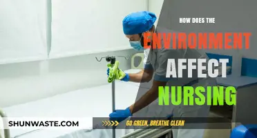 Environmental Impact on Nursing: Challenges, Adaptations, and Patient Care Strategies
