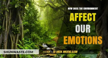 Nature's Mood Ring: How Environments Shape Our Emotional Landscapes