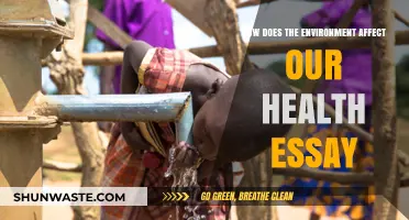 Environmental Impact on Health: Exploring the Vital Connections and Consequences