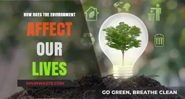 Environmental Impact: Shaping Our Daily Lives and Future Well-Being