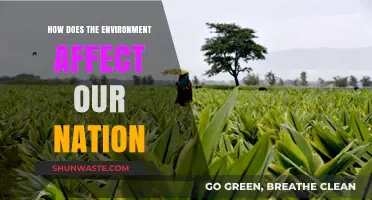Environmental Impact: Shaping Our Nation's Health, Economy, and Future