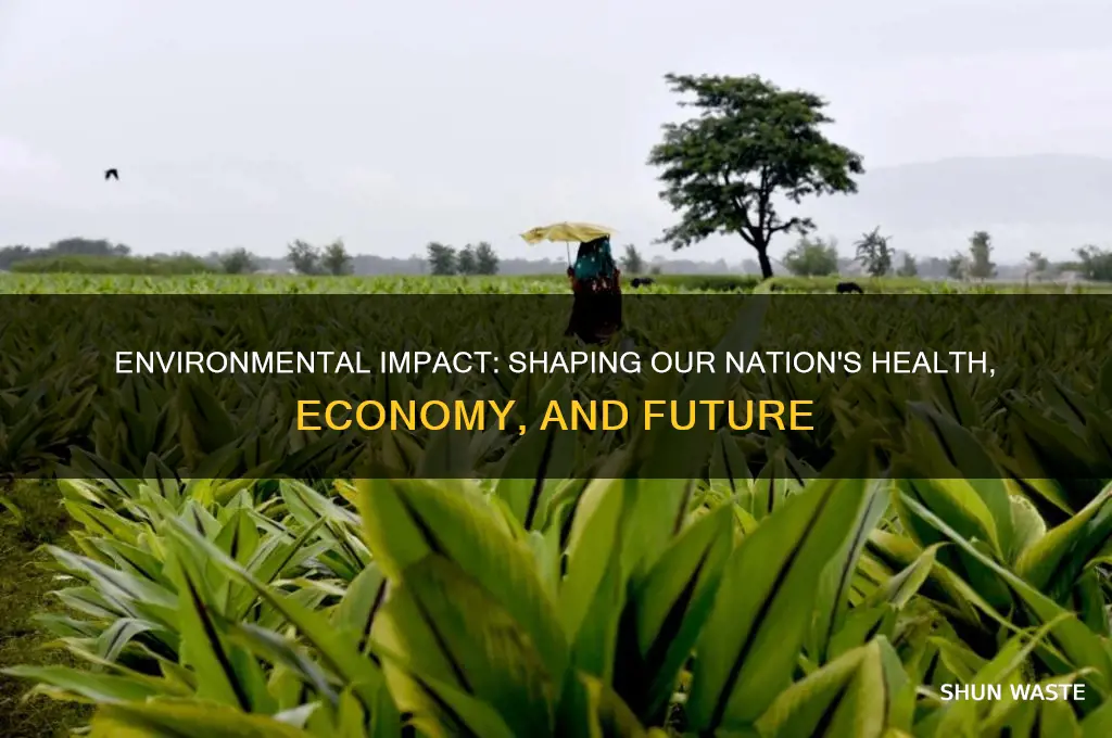 how does the environment affect our nation