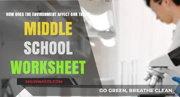 Exploring How Our Environment Shapes Middle School Traits Worksheet