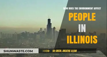 Illinois' Environment: Shaping Health, Economy, and Daily Life for Residents