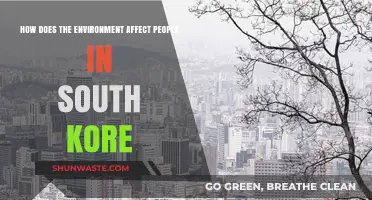 South Korea's Environment: Shaping Lives, Health, and Culture in Unique Ways