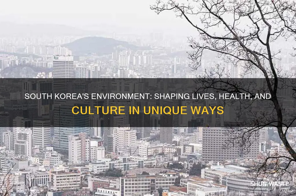 how does the environment affect people in south kore
