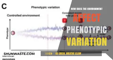 Environmental Influences on Phenotypic Variation: Unraveling Nature's Complex Interactions