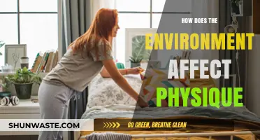 Environmental Factors Shaping Physique: Uncovering Nature's Impact on Body Composition