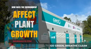 Environmental Factors Shaping Plant Growth: Insights and Impacts