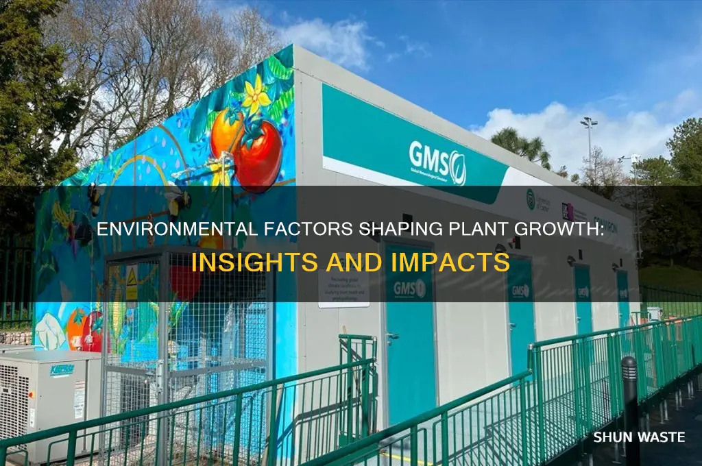how does the environment affect plant growth