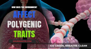 Environmental Influences on Polygenic Traits: Unraveling Complex Gene-Environment Interactions