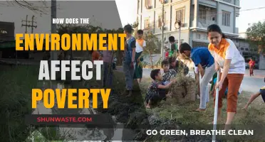 Environmental Impact on Poverty: Exploring the Complex Relationship and Solutions