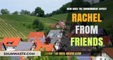 How Rachel Green's Personality and Choices Reflect Her Environment in Friends