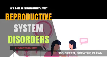 Environmental Factors and Their Impact on Reproductive Health Disorders