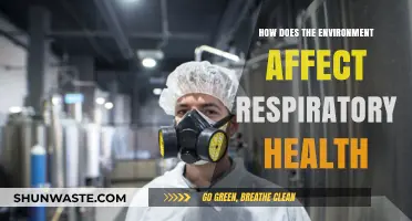 Environmental Factors and Their Impact on Respiratory Health Explained