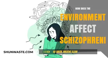Environmental Factors and Schizophrenia: Unraveling the Complex Relationship