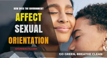 Environmental Influences on Sexual Orientation: Unraveling Nature's Complex Role