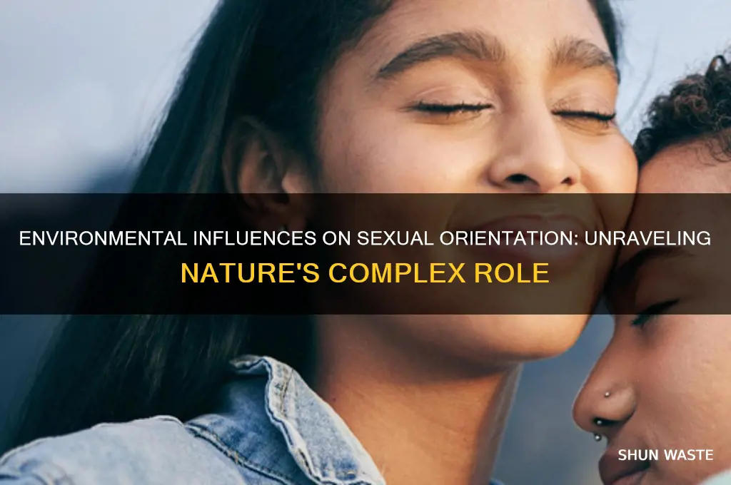 how does the environment affect sexual orientation