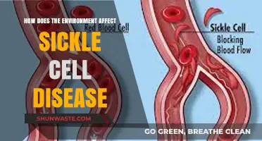 Environmental Factors and Their Impact on Sickle Cell Disease