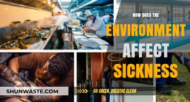 Environmental Factors and Their Impact on Human Health and Illness