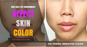 Environmental Factors Shaping Skin Pigmentation: A Comprehensive Exploration