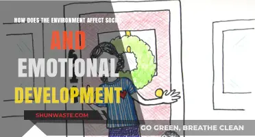 Environmental Influences on Social and Emotional Growth: Uncovering Key Connections