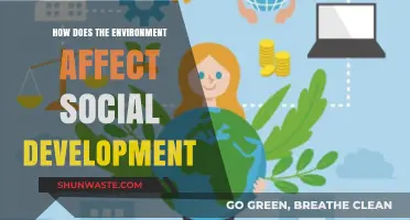 Environmental Impacts on Social Growth: Shaping Communities and Human Connections