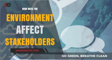 Environmental Impacts: Shaping Stakeholder Interests and Business Responsibilities