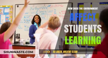 Environmental Influences on Student Learning: Factors Shaping Academic Success