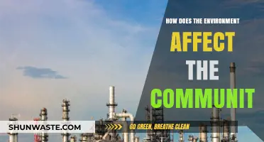 Environmental Impact: Shaping Communities, Health, and Sustainable Futures