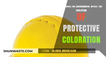 Environmental Influences on the Evolution of Protective Coloration in Species