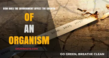 Environmental Factors Shaping Organism Growth: Insights and Impacts