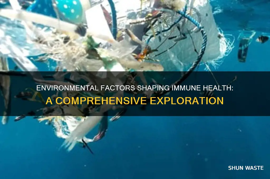 how does the environment affect the immune system
