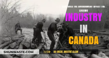 Canada's Logging Industry: Environmental Impacts and Sustainable Practices