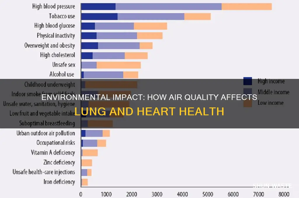 how does the environment affect the lungs and heart