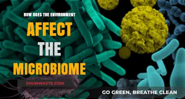Environmental Factors Shaping Microbiome Diversity and Human Health Connections
