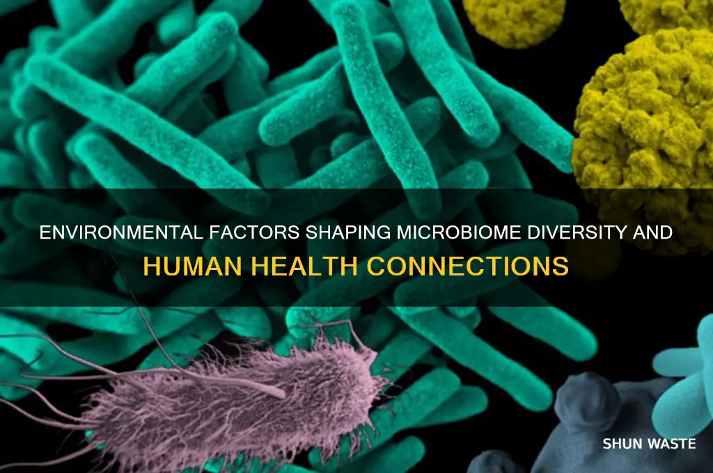 how does the environment affect the microbiome
