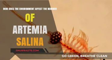 Environmental Factors Influencing Artemia Salina Population Dynamics Explained