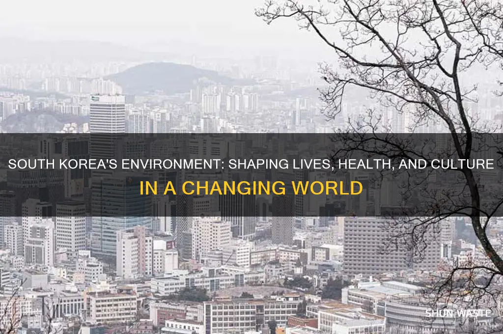 how does the environment affect the people of south korea