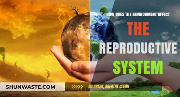 Environmental Impact on Reproduction: Exploring Nature's Influence on Fertility