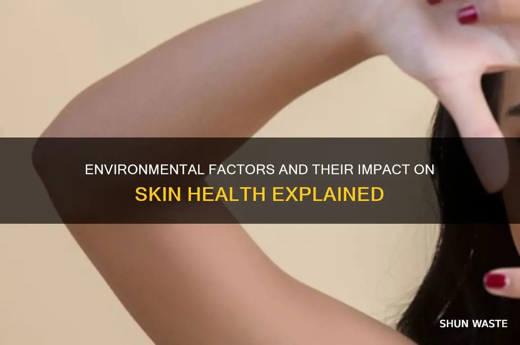 how does the environment affect the skin