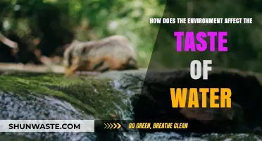 Environmental Factors Shaping Water Taste: A Comprehensive Exploration
