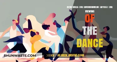 Environmental Influences on Dance Perception: A Visual and Spatial Exploration
