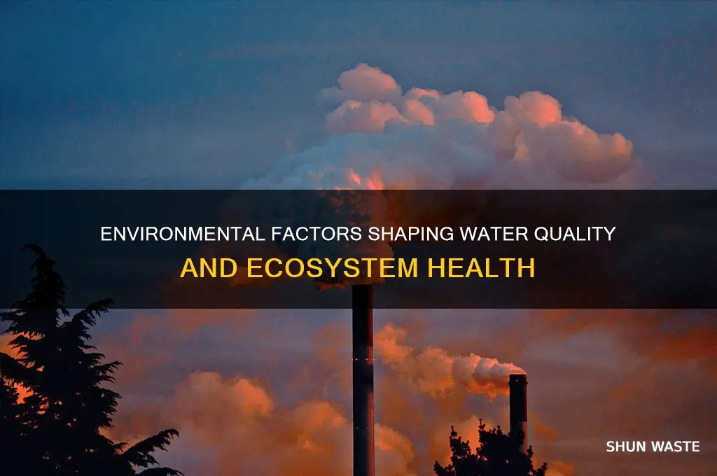 how does the environment affect the water