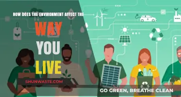 Environmental Impact: Shaping Lifestyles, Choices, and Daily Living Habits