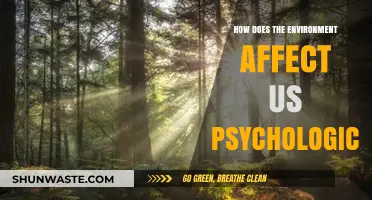 Nature's Impact: How Our Environment Shapes Psychological Well-Being
