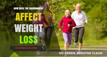 Environmental Factors: Unlocking the Impact on Weight Loss Success